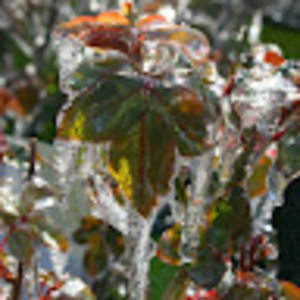 Meet your Posher, Sabine